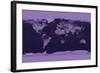 Satellite View of the World Showing Electric Lights and Usage-Goddard Space Center-Framed Art Print