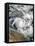 Satellite View of Tropical Cyclone Ita-null-Framed Stretched Canvas