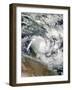 Satellite View of Tropical Cyclone Ita-null-Framed Photographic Print