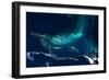 Satellite view of Turks and Caicos Islands-null-Framed Photographic Print