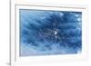 Satellite view of Venezuelan Valley in South America-null-Framed Photographic Print