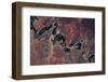 Satellite view of Vosburg landscape, Northern Province, South Africa-null-Framed Photographic Print