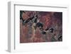 Satellite view of Vosburg landscape, Northern Province, South Africa-null-Framed Photographic Print