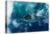 Satellite view of West Grand Bahama and Atlantic Ocean, Bahamas-null-Stretched Canvas