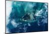 Satellite view of West Grand Bahama and Atlantic Ocean, Bahamas-null-Mounted Photographic Print