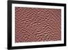 Satellite view of wet sand on riverbed, Ha'il Province, Saudi Arabia-null-Framed Photographic Print