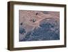 Satellite view of wet sand on riverbed, Ha'il Province, Saudi Arabia-null-Framed Photographic Print