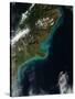 Satellite View Showing Sediment Near Christchurch, New Zealand-null-Stretched Canvas