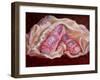 Satin and Velvet, 2011-Lee Campbell-Framed Giclee Print