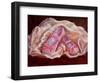 Satin and Velvet, 2011-Lee Campbell-Framed Giclee Print