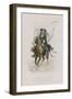 Satire VIII-Emile Antoine Bayard-Framed Giclee Print