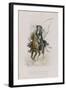 Satire VIII-Emile Antoine Bayard-Framed Giclee Print