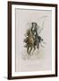 Satire VIII-Emile Antoine Bayard-Framed Giclee Print