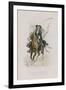 Satire VIII-Emile Antoine Bayard-Framed Giclee Print