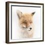 Satisfied-Doris Reindl-Framed Photographic Print