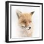 Satisfied-Doris Reindl-Framed Photographic Print