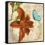 Satsuma Day Lily II-Tina Lavoie-Framed Stretched Canvas