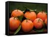 Satsuma Tangerines I-Rachel Perry-Framed Stretched Canvas