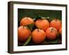 Satsuma Tangerines I-Rachel Perry-Framed Photographic Print