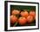 Satsuma Tangerines I-Rachel Perry-Framed Photographic Print