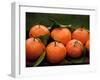 Satsuma Tangerines I-Rachel Perry-Framed Photographic Print