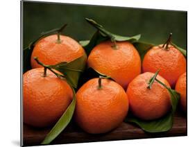 Satsuma Tangerines I-Rachel Perry-Mounted Photographic Print