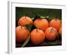 Satsuma Tangerines I-Rachel Perry-Framed Photographic Print