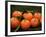 Satsuma Tangerines I-Rachel Perry-Framed Photographic Print