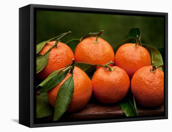 Satsuma Tangerines II-Rachel Perry-Framed Stretched Canvas