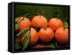 Satsuma Tangerines II-Rachel Perry-Framed Stretched Canvas