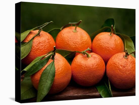 Satsuma Tangerines II-Rachel Perry-Stretched Canvas