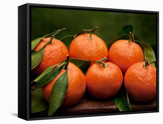 Satsuma Tangerines II-Rachel Perry-Framed Stretched Canvas
