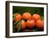 Satsuma Tangerines II-Rachel Perry-Framed Photographic Print