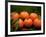 Satsuma Tangerines II-Rachel Perry-Framed Photographic Print