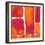 Saturated Blocks II-Renee W. Stramel-Framed Art Print