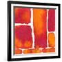 Saturated Blocks II-Renee W. Stramel-Framed Art Print