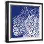 Saturated Coral III-Vision Studio-Framed Art Print