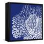 Saturated Coral III-Vision Studio-Framed Stretched Canvas