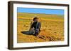 Saturated Sand-Amanda Lee Smith-Framed Photographic Print