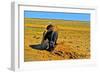 Saturated Sand-Amanda Lee Smith-Framed Photographic Print