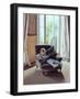 Saturday Afternoon: Tallulah Reading, 2006-Gillian Furlong-Framed Giclee Print