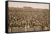 Saturday Football Crowd-null-Framed Stretched Canvas