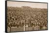 Saturday Football Crowd-null-Framed Stretched Canvas