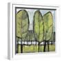 Saturday in the Park-Tim Nyberg-Framed Giclee Print