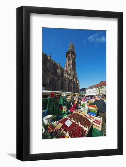 Saturday Market, Freiburg Cathedral, Freiburg, Baden-Wurttemberg, Germany, Europe-Christian Kober-Framed Photographic Print