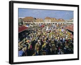 Saturday Market, St. Georges, Grenada, Windward Islands, West Indies, Caribbean, Central America-Sylvain Grandadam-Framed Photographic Print