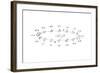 Saturn, 1659-null-Framed Giclee Print