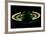 Saturn and its Rings, Cassini Image-null-Framed Photographic Print