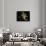 Saturn And Solar System-Detlev Van Ravenswaay-Framed Photographic Print displayed on a wall