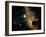 Saturn And Solar System-Detlev Van Ravenswaay-Framed Photographic Print